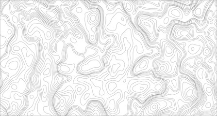White topography topology vector white background, Modern design with White background with topographic wavy pattern design.Luxury black abstract line art,
