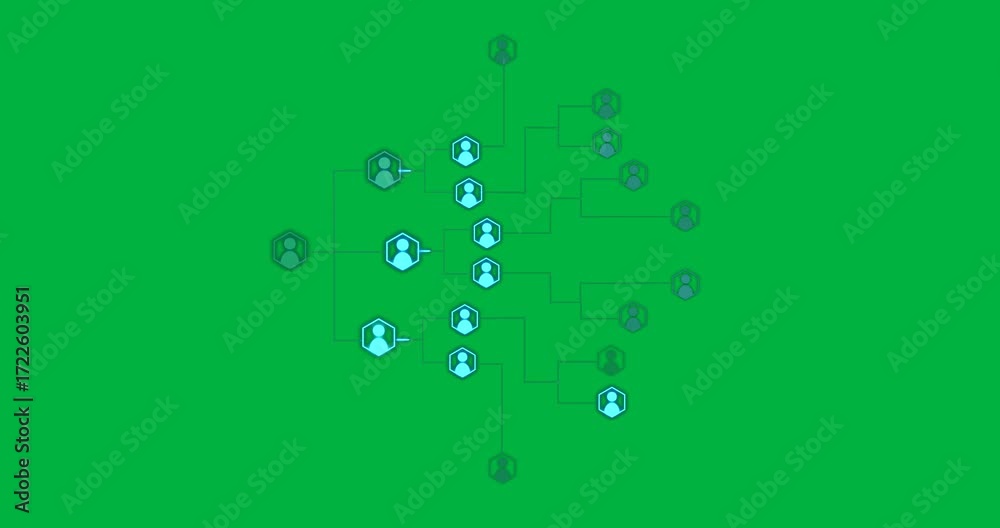 Wall mural Displaying glowing cyan hexagon user icons connecting by branching neon lines on clear background