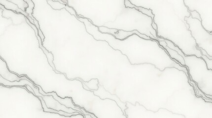 Fototapeta premium White Marble Texture with Gray Veins image 1