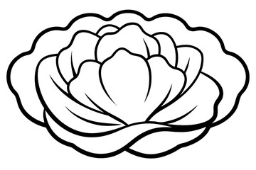 lotus flower vector illustration