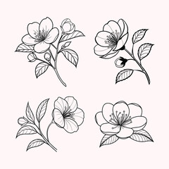 Classic Camellia Flower Outline Minimal Clean Design Set.
