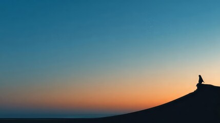 Fototapeta premium Solitary Figure at Sunset: A Contemplative Scene of Dusk, Horizon, and Silhouette