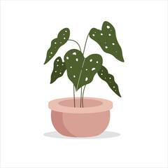 Monstera Variegata Decorative Plant on a Pot Colored Flat Illustration