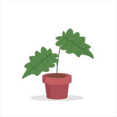 Oak Leaf Philodendron Decorative Plant on a Pot Colored Flat Illustration