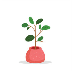 Rubber Plant Decorative Plant on a Pot Colored Flat Illustration