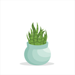 Snake Plant Decorative Plant on a Pot Colored Flat Illustration