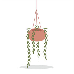 Trailing Pothos Decorative Plant on a Pot Colored Flat Illustration