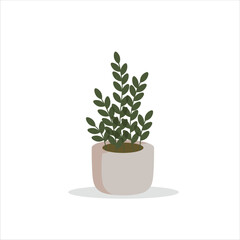 Zamioculcas Decorative Plant on a Pot Colored Flat Illustration
