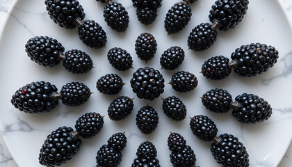 Blueberries Underwater – Macro Bubble Photography 4K