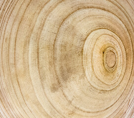 Cernes de bois sur billot 