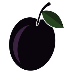 darling plum fruit silhouette on white background
