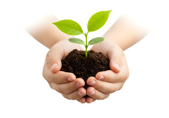 Hands gently holding a young plant sprout growing in rich soil, symbolizing new life and growth