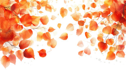 autumnal leaves, falling gently against a bright sky, embodies the beauty and tranquility of the season. Isolated On Transparent and White Background