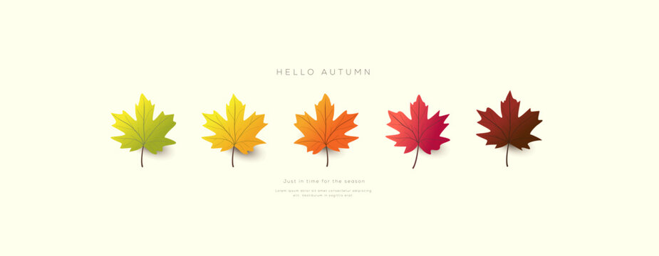 Autumn banner background design with colorful maple leaves in gradient shades from green to brown and discount promotion perfect for seasonal advertising and marketing use