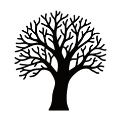 Fototapeta premium Striking Silhouette of a Bare Deciduous Tree with Intricate Branches, Representing Nature's Resilience