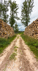 Fototapety na wymiar - Fototapeta24.pl