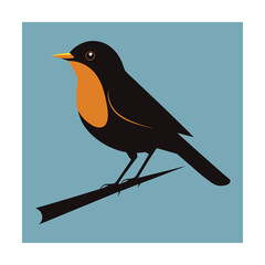 Black and Orange Bird Perched on Branch Keywords: bird, robin, perched, branch, twig, avian