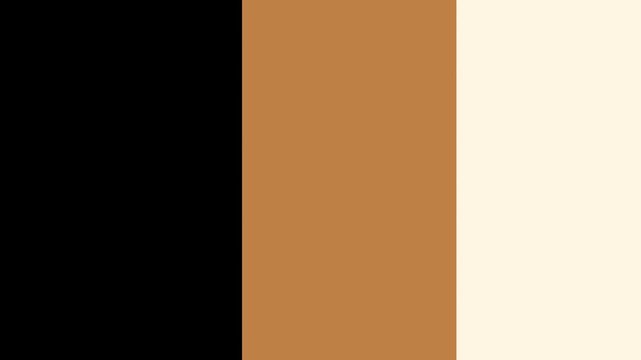 package brown transition simple elegant motion graphic 4K for editing video premier pro or after effect	
