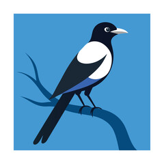 Magpie bird perched on a tree branch against blue background