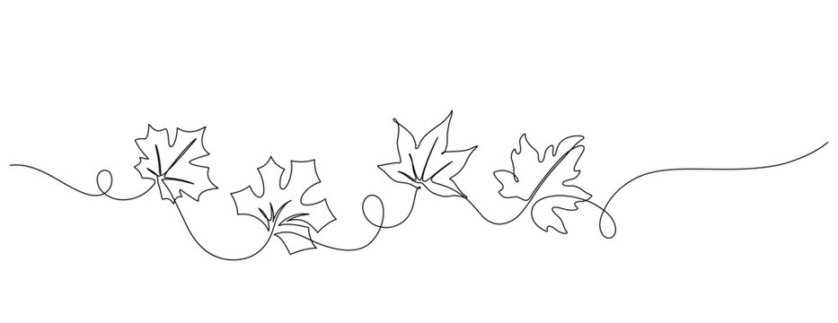 continuous line drawing of autumn leaves handdrawn