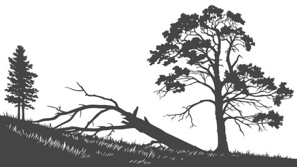 Black and White Pine Forest Silhouette – Dramatic Twisted Tree Landscape Illustration