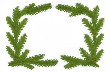 Fir branches creating a rectangular frame, symbolizing winter holidays, christmas, and festive celebration decor with transparent background