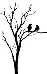 Two silhouette ravens perched on bare branches of a stark tree, evoking a sense of mystery and autumn's arrival.