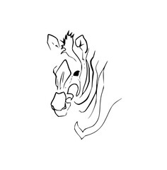 Dynamic minimalist line art of a zebra head conveying wild energy and striking elegance, perfect for modern design projects.