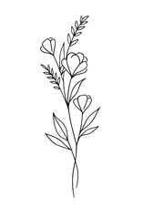 Elegant minimalist floral stem with delicate buds and leaves, perfect for modern design projects and branding.