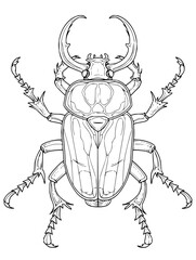 Intricate line art of a majestic rhinoceros beetle showcasing its powerful horns and detailed exoskeleton, perfect for educational or design projects.
