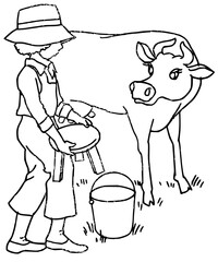 Farmer skillfully milks contented cow in sunny field, traditional rural life captured