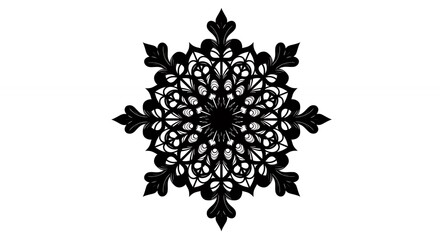 Ornate snowflake design