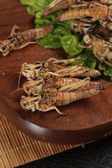 Fried Grasshoppers Traditional Chinese Cuisine Shandong Province Exotic Insect Food Delicacy