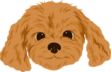 A cartoon illustration of a fluffy brown dogs face