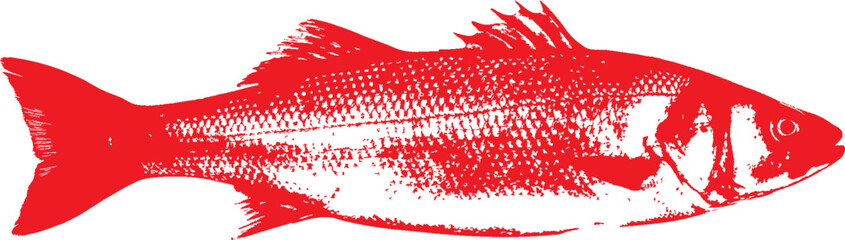 Japanese gyotaku fish