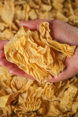 Dried Bean Curd Skin Sheets in Hand - Traditional Asian Food Ingredient