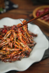 Shandong Dry Stir-Fried Grasshoppers Traditional Chinese Insect Cuisine Exotic Food Delicacy