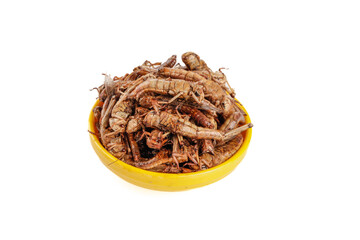 Fried Locusts Grasshoppers Shandong Chinese Cuisine Edible Insects Yellow Bowl Traditional Delicacy Alternative Protein
