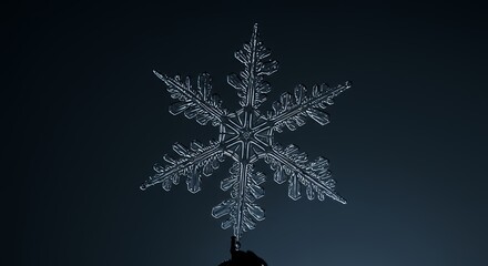 Detailed snowflake macro photography
