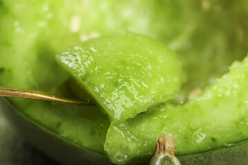 Fresh Cut Honeydew Melon Cubes with Water Drops - Sweet Summer Fruit