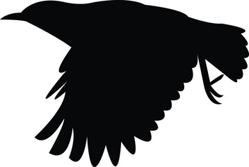 Flying Ant-eating chat Bird Silhouette Design And Vector Illustration. 