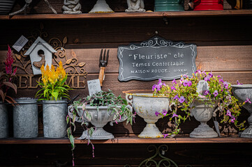 Autumn Pumpkin Patch at Ueno Farm, Hokkaido, Japan – Fall Harvest Landscape