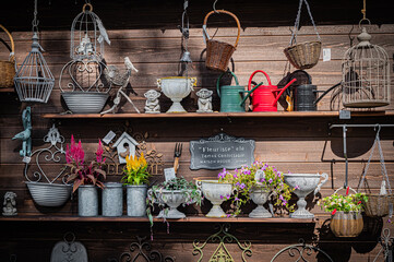 Autumn Pumpkin Patch at Ueno Farm, Hokkaido, Japan – Fall Harvest Landscape