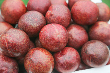 Fresh Red Chilean Plums Close-Up - Ripe Stone Fruit Collection