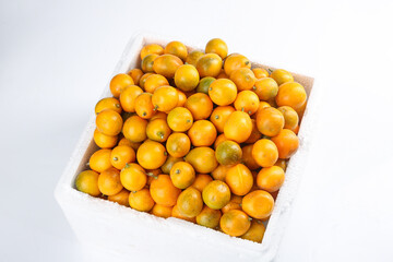 Fresh Guangxi Kumquats in Wooden Crate - Golden Citrus Fruits with Smooth Crispy Skin