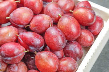 Fresh Red Chilean Prunes in Wooden Crate - Sweet Imported Stone Fruit for Healthy Eating