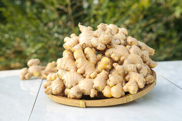 Fresh Homegrown Ginger Root in Bamboo Basket - Organic Cooking Ingredient