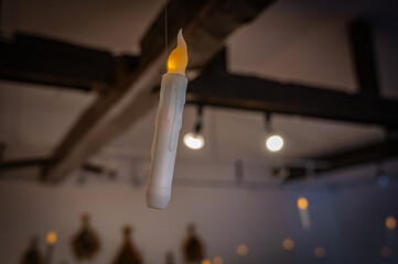 Autumn Pumpkin Patch at Ueno Farm, Hokkaido, Japan – Fall Harvest Landscape