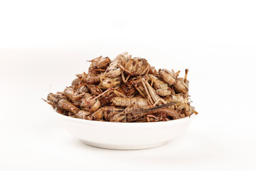 Fresh Fried Grasshoppers in Bowl - Traditional Shandong China Insect Food Delicacy by Local Farmers