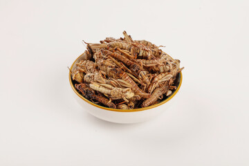 Fried Grasshoppers Shandong China Traditional Farmhouse Cuisine Edible Insects Bowl